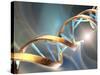 DNA Molecule, Artwork-Laguna Design-Stretched Canvas