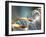 DNA Molecule, Artwork-Laguna Design-Framed Photographic Print