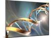 DNA Molecule, Artwork-Laguna Design-Mounted Photographic Print