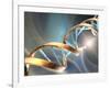 DNA Molecule, Artwork-Laguna Design-Framed Photographic Print