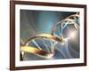 DNA Molecule, Artwork-Laguna Design-Framed Photographic Print