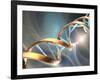 DNA Molecule, Artwork-Laguna Design-Framed Photographic Print