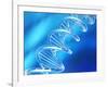 DNA Molecule, Artwork-PASIEKA-Framed Photographic Print