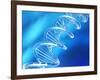 DNA Molecule, Artwork-PASIEKA-Framed Photographic Print