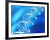 DNA Molecule, Artwork-PASIEKA-Framed Photographic Print