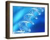 DNA Molecule, Artwork-PASIEKA-Framed Photographic Print