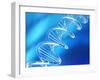 DNA Molecule, Artwork-PASIEKA-Framed Photographic Print