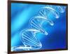 DNA Molecule, Artwork-PASIEKA-Framed Photographic Print