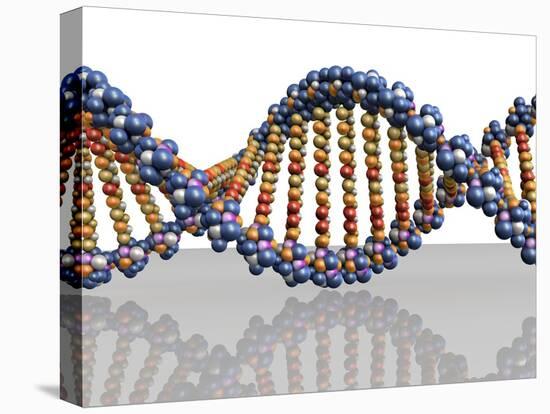 DNA Molecule, Computer Artwork-PASIEKA-Stretched Canvas