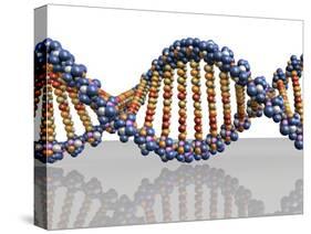 DNA Molecule, Computer Artwork-PASIEKA-Stretched Canvas