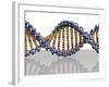 DNA Molecule, Computer Artwork-PASIEKA-Framed Photographic Print