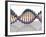 DNA Molecule, Computer Artwork-PASIEKA-Framed Photographic Print