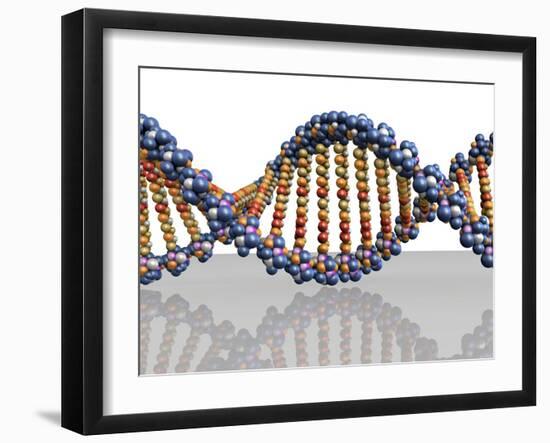 DNA Molecule, Computer Artwork-PASIEKA-Framed Photographic Print