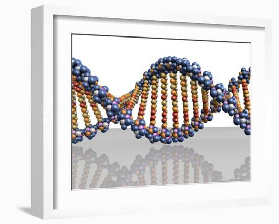 DNA Molecule, Computer Artwork-PASIEKA-Framed Photographic Print