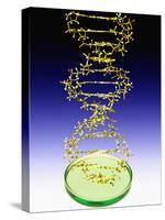 DNA Molecule-Victor De Schwanberg-Stretched Canvas