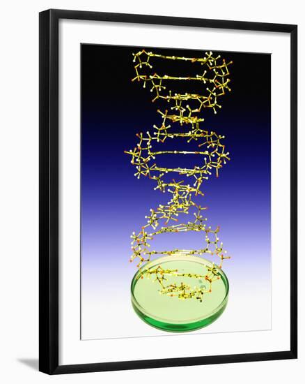 DNA Molecule-Victor De Schwanberg-Framed Premium Photographic Print