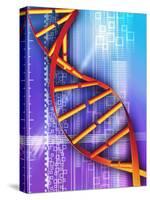 DNA Molecule-PASIEKA-Stretched Canvas