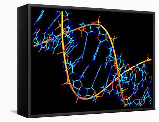 DNA Molecule-PASIEKA-Framed Stretched Canvas