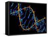 DNA Molecule-PASIEKA-Framed Stretched Canvas