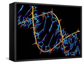 DNA Molecule-PASIEKA-Framed Stretched Canvas