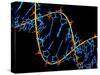 DNA Molecule-PASIEKA-Stretched Canvas