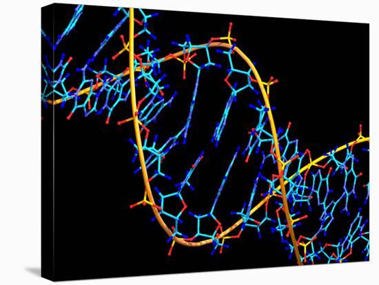 DNA Molecule-PASIEKA-Stretched Canvas