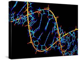 DNA Molecule-PASIEKA-Stretched Canvas