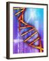 DNA Molecule-PASIEKA-Framed Photographic Print