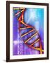 DNA Molecule-PASIEKA-Framed Photographic Print