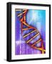 DNA Molecule-PASIEKA-Framed Photographic Print