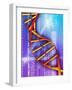 DNA Molecule-PASIEKA-Framed Photographic Print