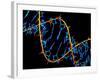 DNA Molecule-PASIEKA-Framed Photographic Print