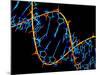 DNA Molecule-PASIEKA-Mounted Photographic Print
