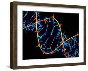 DNA Molecule-PASIEKA-Framed Photographic Print