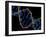 DNA Molecule-PASIEKA-Framed Photographic Print