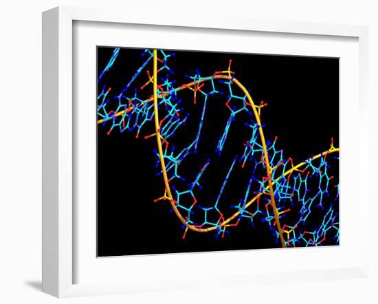 DNA Molecule-PASIEKA-Framed Photographic Print