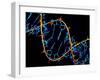 DNA Molecule-PASIEKA-Framed Photographic Print