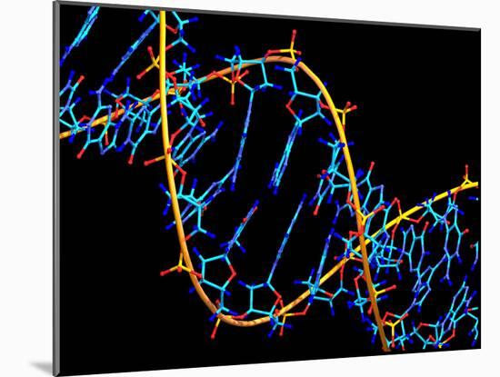 DNA Molecule-PASIEKA-Mounted Photographic Print