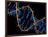 DNA Molecule-PASIEKA-Framed Photographic Print