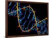 DNA Molecule-PASIEKA-Framed Photographic Print