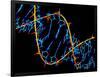 DNA Molecule-PASIEKA-Framed Photographic Print