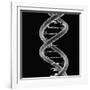 DNA Molecule-Mehau Kulyk-Framed Photographic Print