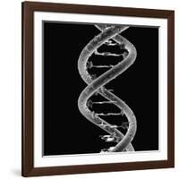 DNA Molecule-Mehau Kulyk-Framed Photographic Print