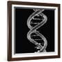 DNA Molecule-Mehau Kulyk-Framed Photographic Print