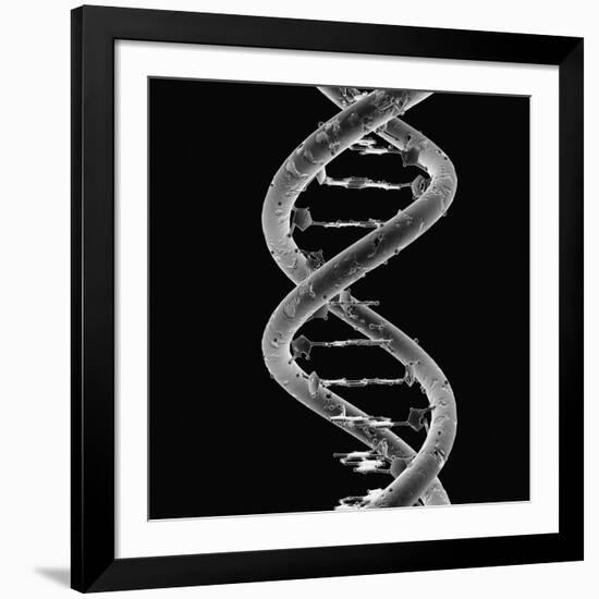 DNA Molecule-Mehau Kulyk-Framed Photographic Print