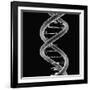 DNA Molecule-Mehau Kulyk-Framed Photographic Print