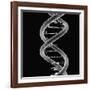 DNA Molecule-Mehau Kulyk-Framed Photographic Print