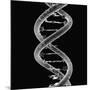 DNA Molecule-Mehau Kulyk-Mounted Photographic Print