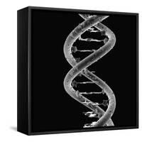 DNA Molecule-Mehau Kulyk-Framed Stretched Canvas