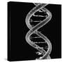 DNA Molecule-Mehau Kulyk-Stretched Canvas